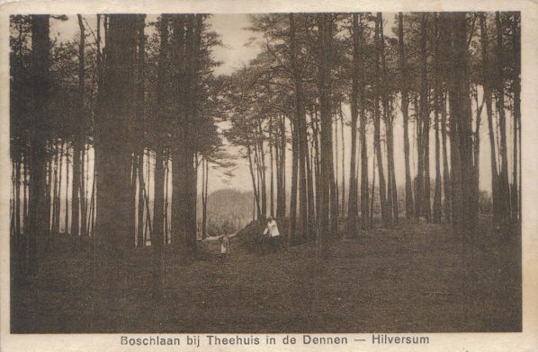 theehuis in de Dennen